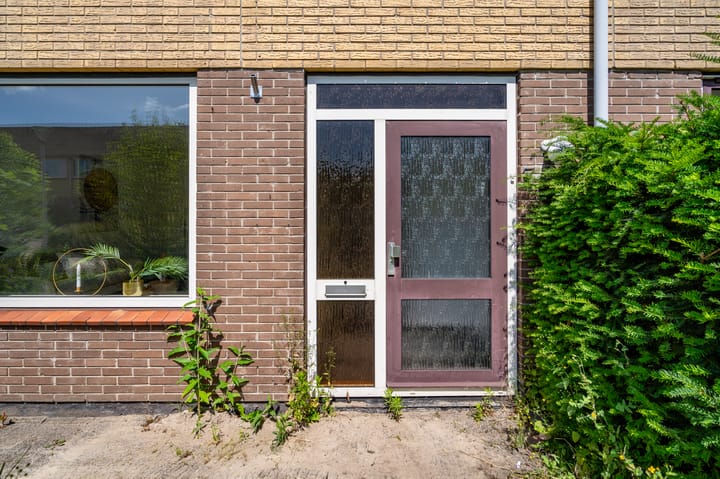 Foto 10 van Wollegras 7