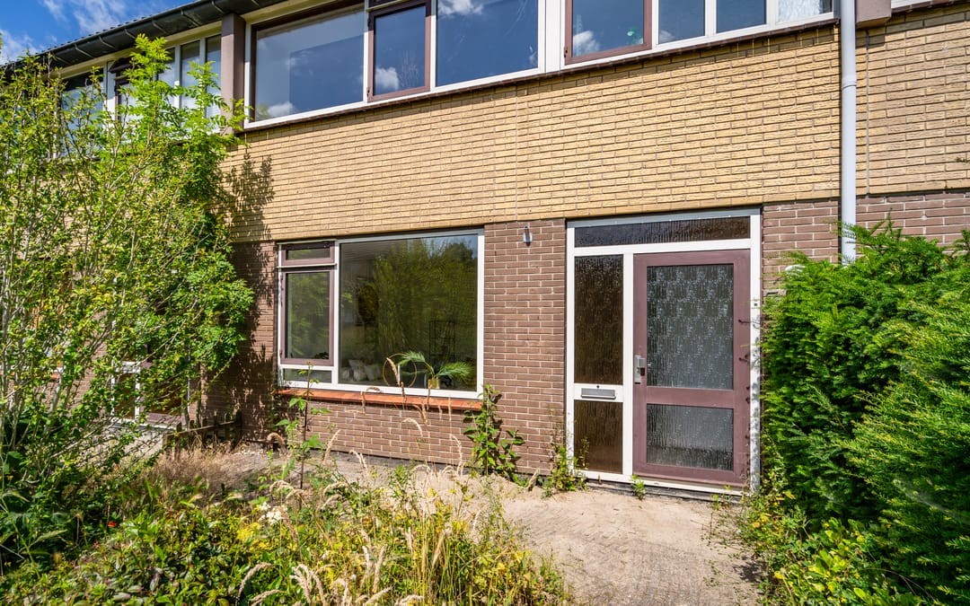 Photo 11 of Wollegras 7