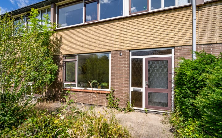 Foto 11 van Wollegras 7