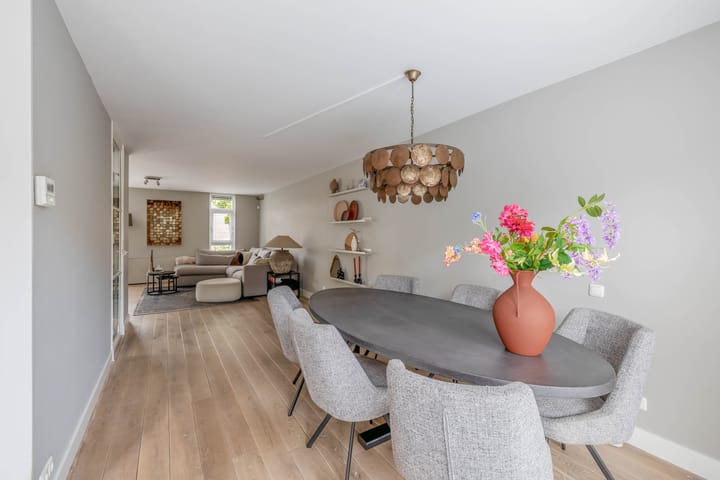 Photo 10 of Saffier 16