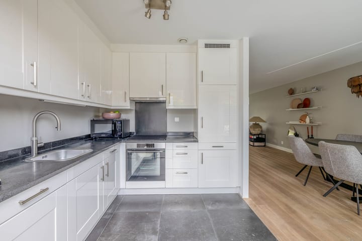 Photo 12 of Saffier 16