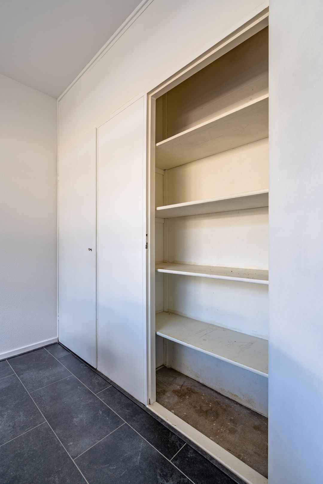 Photo 26 of Wollegras 7