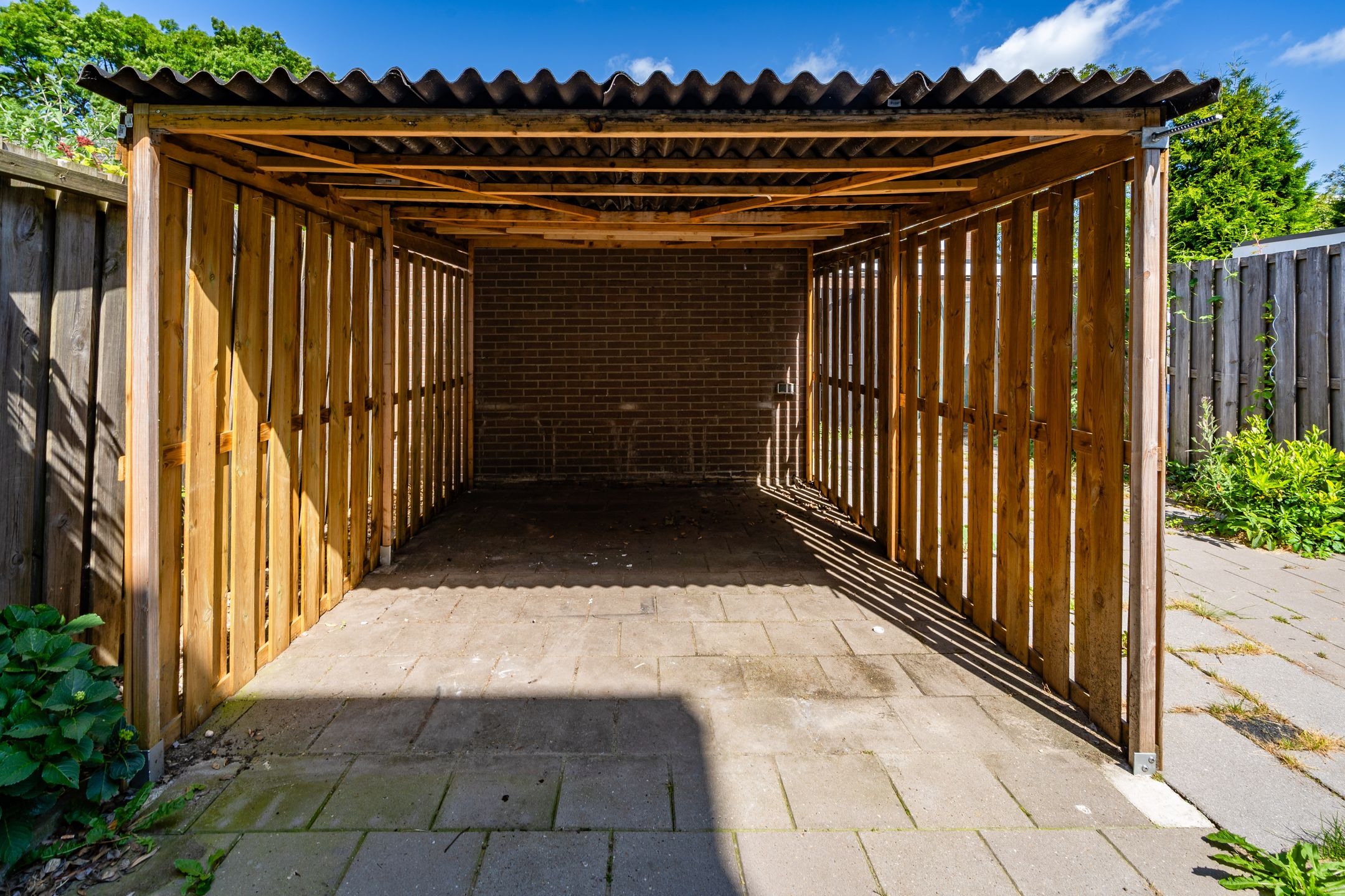 Photo 33 of Wollegras 7