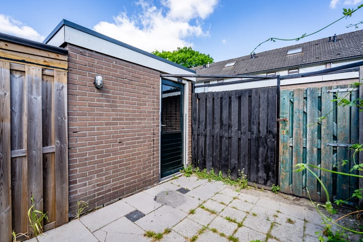 Foto 34 van Wollegras 7