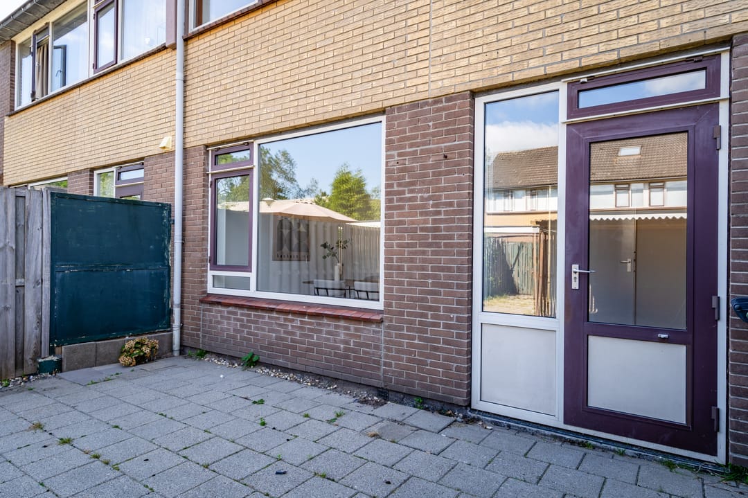 Photo 37 of Wollegras 7