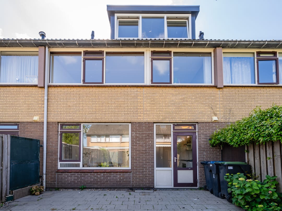 Photo 38 of Wollegras 7