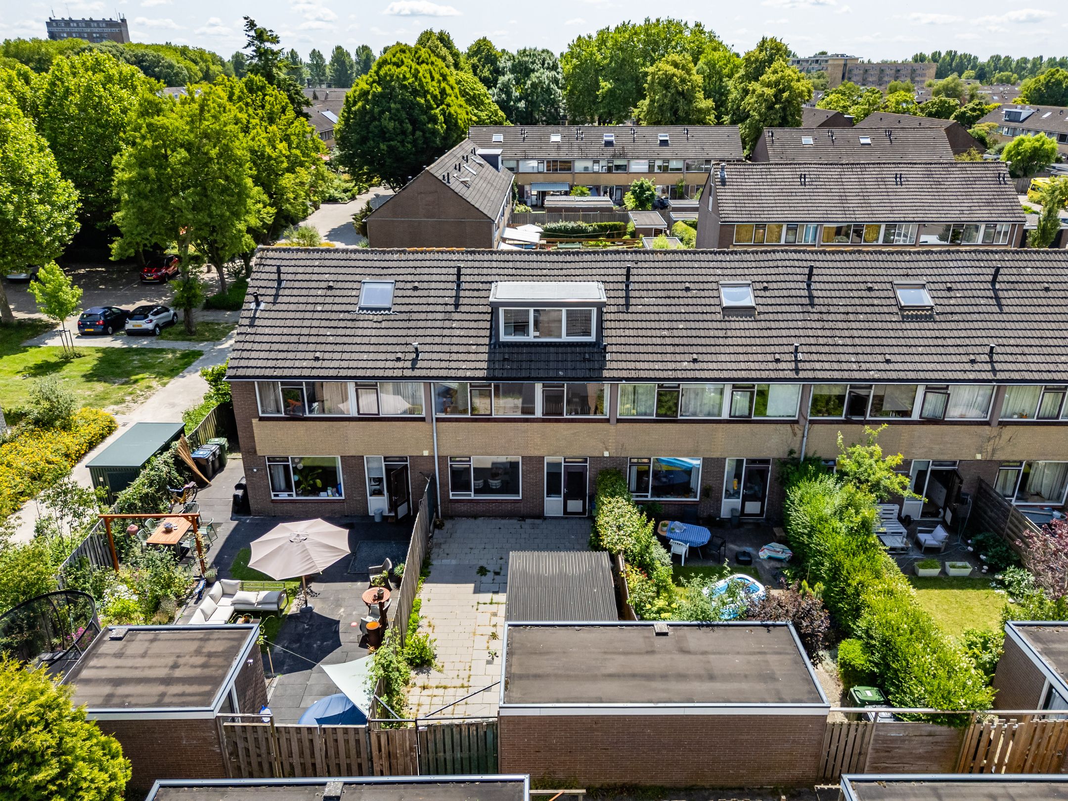 Photo 39 of Wollegras 7