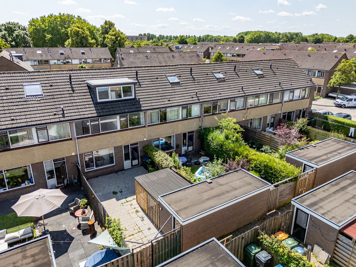 Photo 40 of Wollegras 7