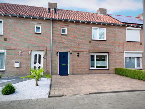 undefined main image