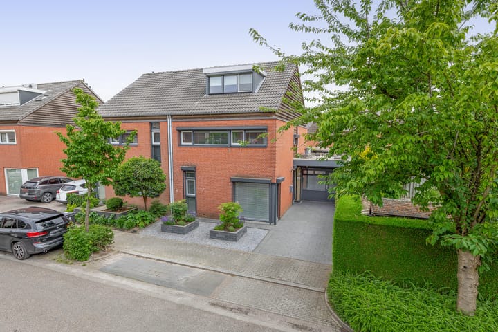 Photo 37 of Saffier 16