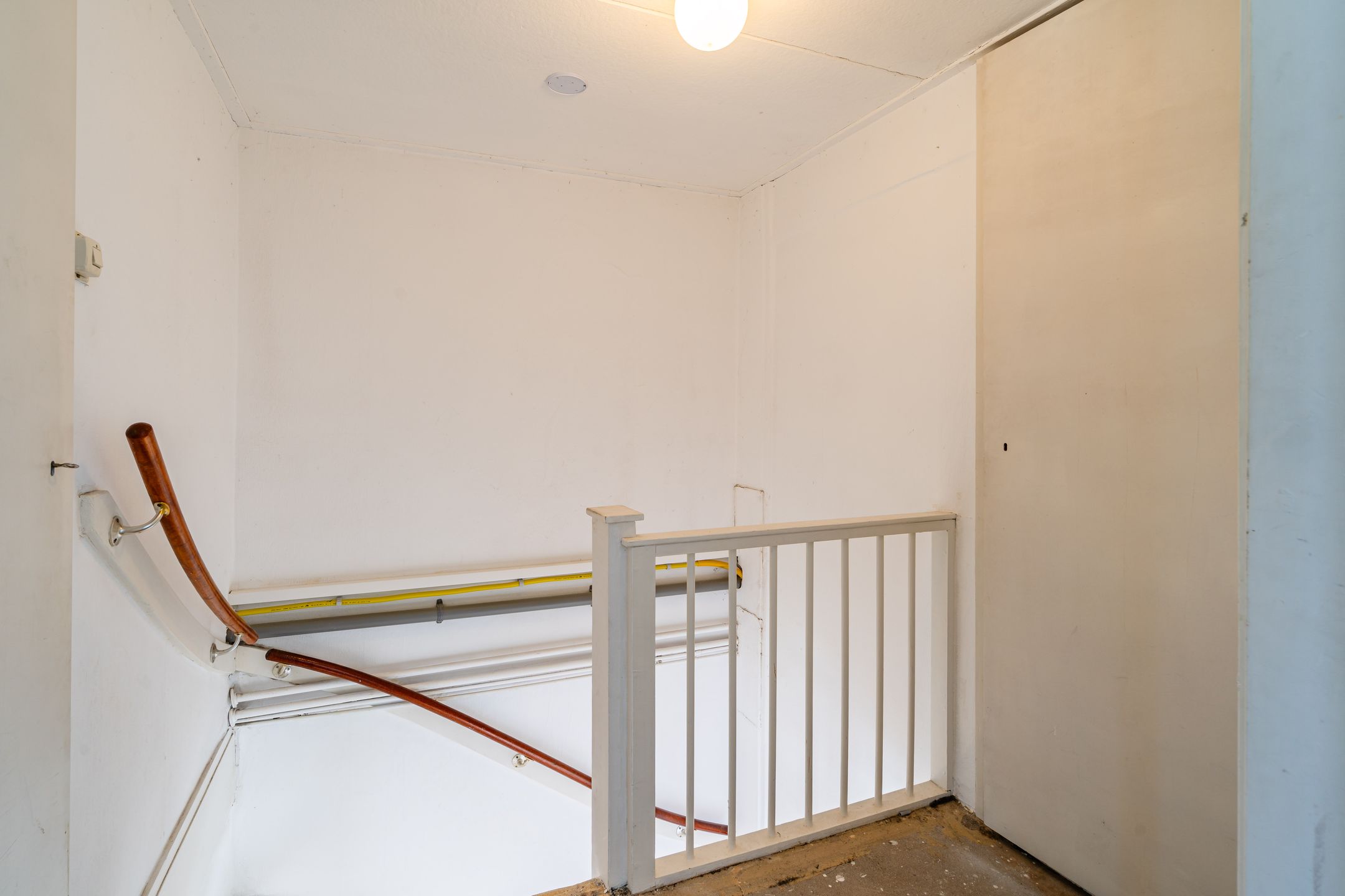 Photo 54 of Wollegras 7