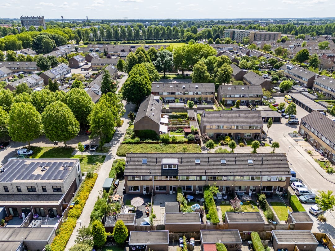 Photo 58 of Wollegras 7