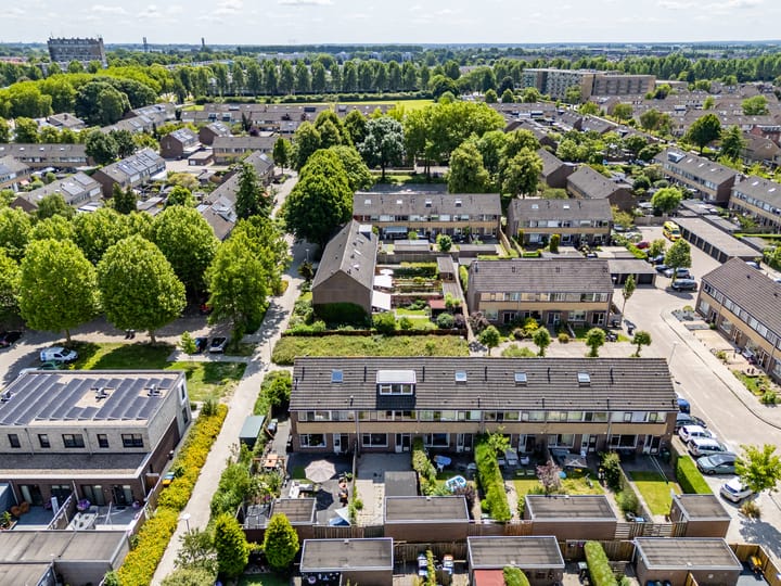 Foto 58 van Wollegras 7