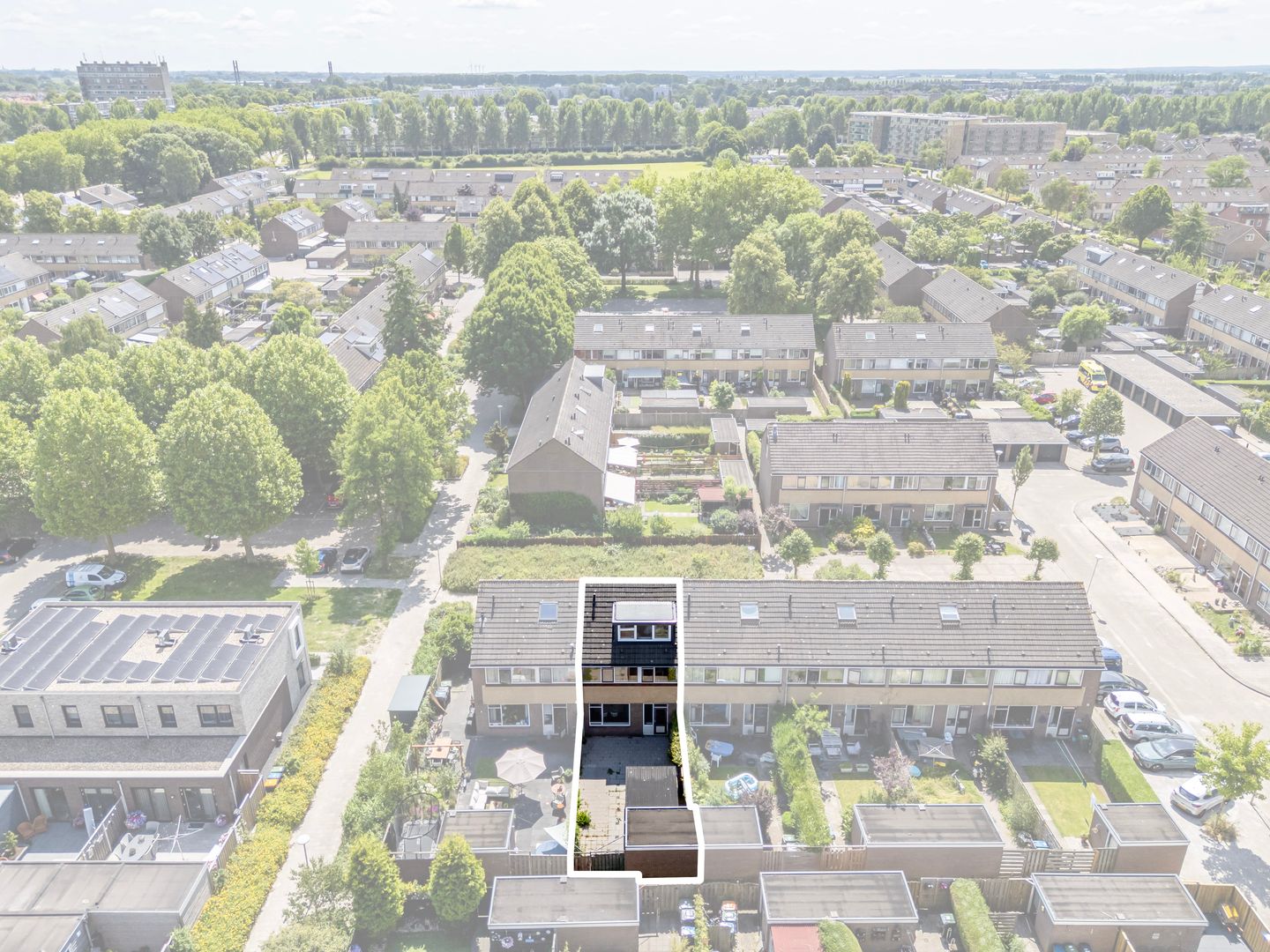 Photo 59 of Wollegras 7