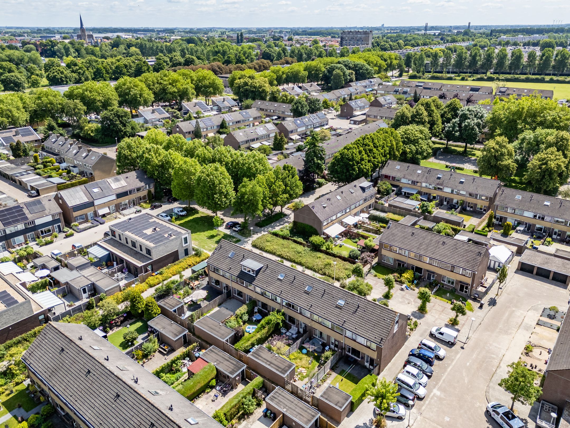 Photo 60 of Wollegras 7