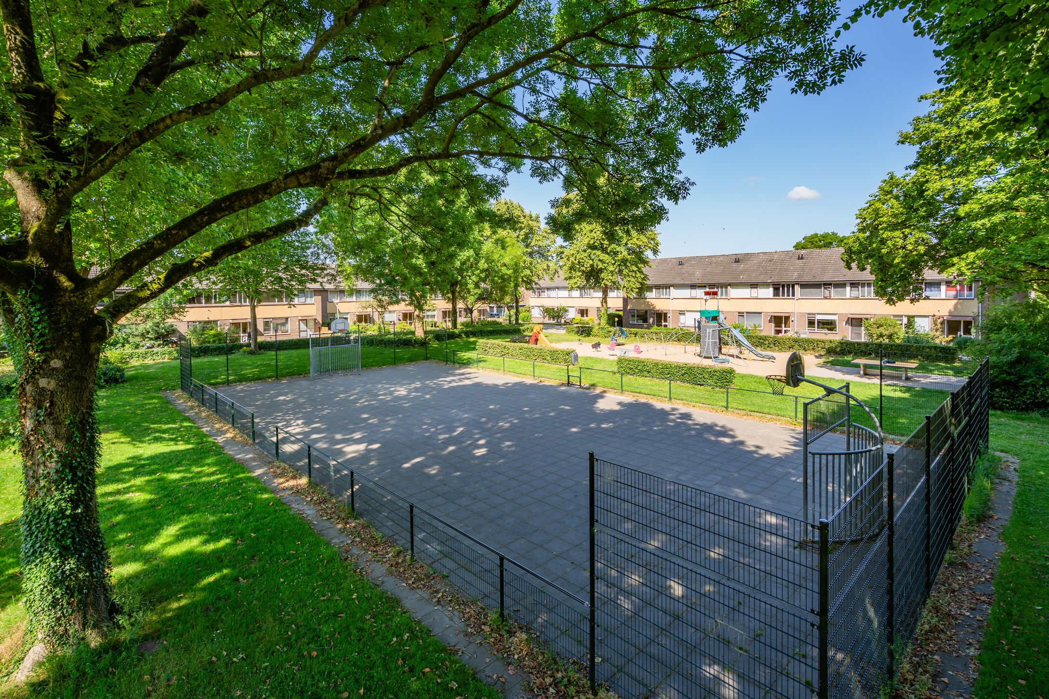 Photo 63 of Wollegras 7