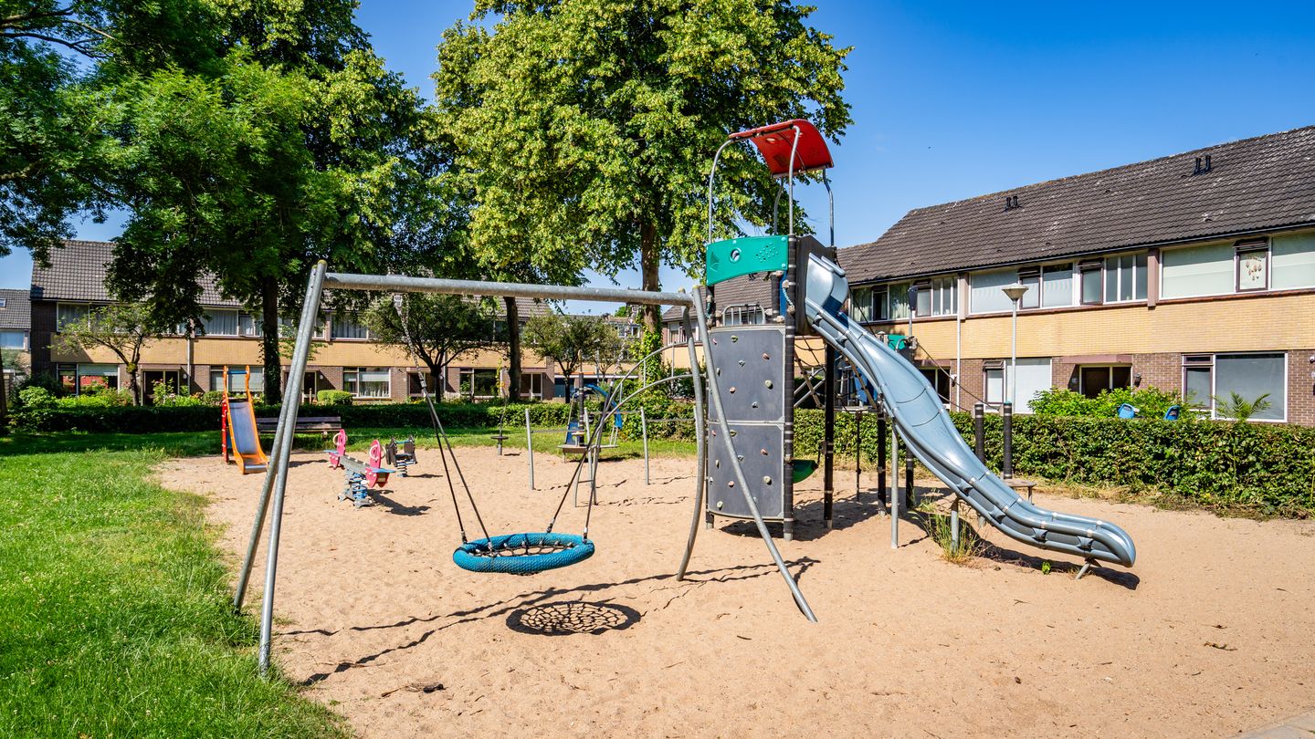 Photo 64 of Wollegras 7