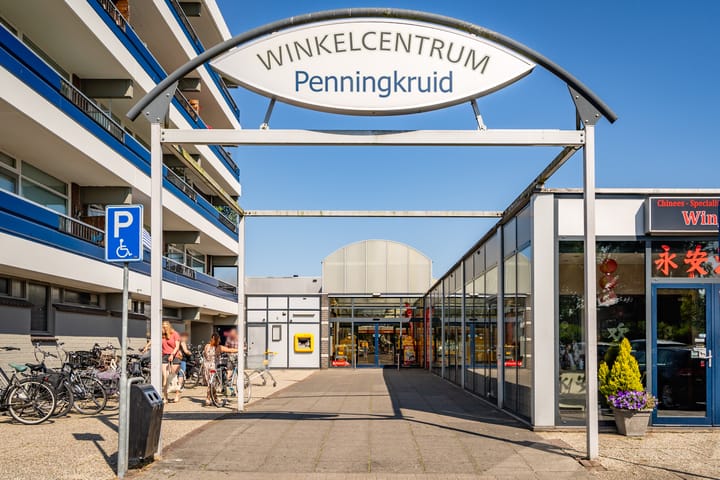 Foto 65 van Wollegras 7