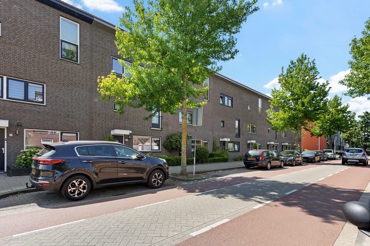 Foto 49 van Brahmslaan 49