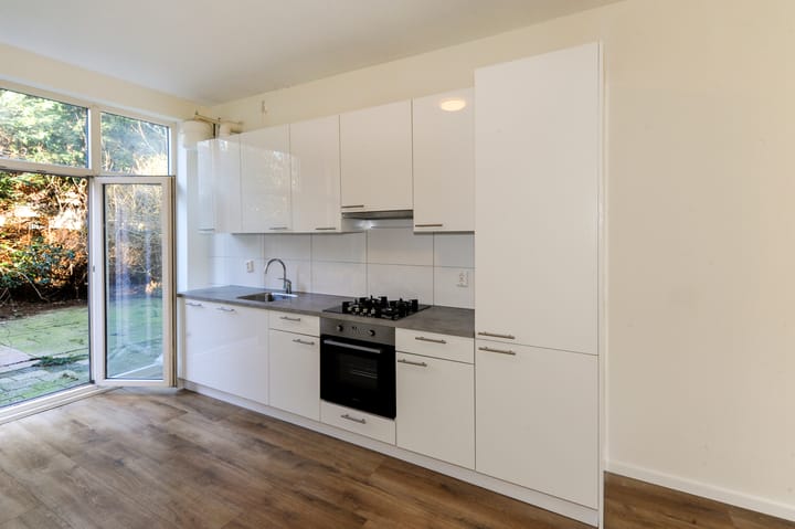 Photo 4 of Allard Piersonlaan 19