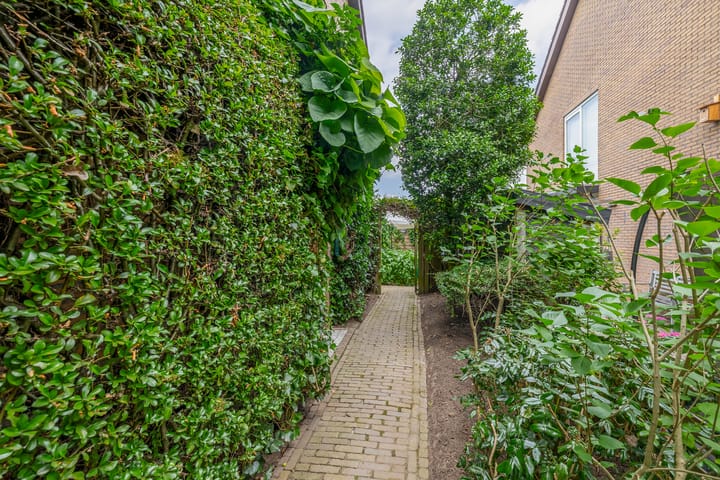 Foto 27 van Munnikenland 11