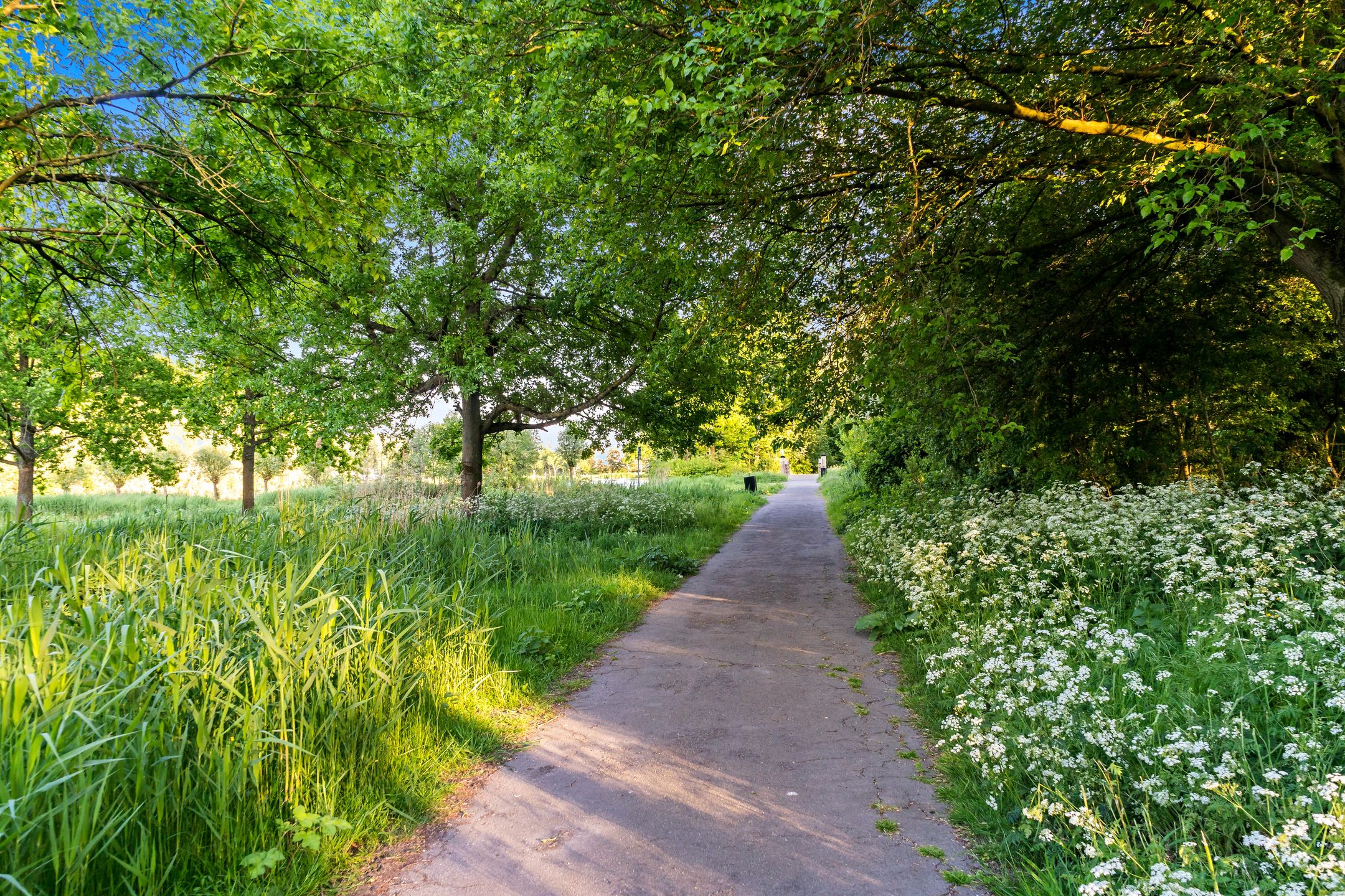 Foto 51 van Raaigrasstraat 30