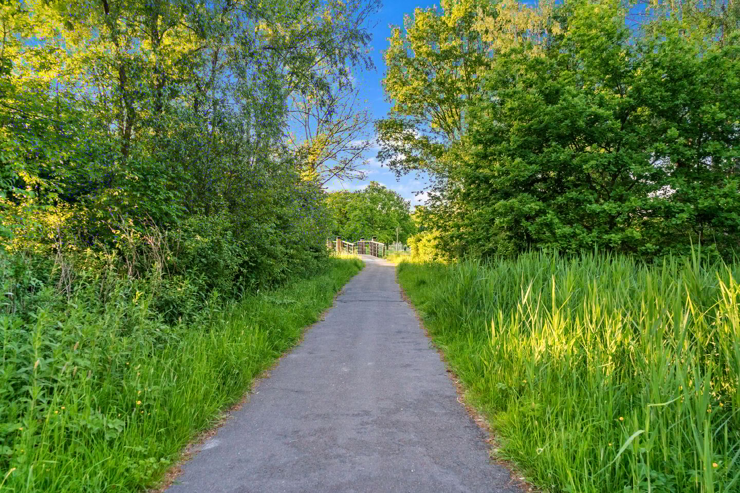 Foto 55 van Raaigrasstraat 30