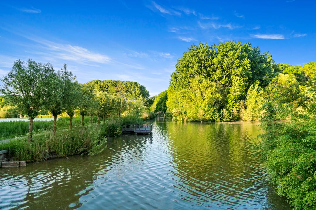 Foto 56 van Raaigrasstraat 30