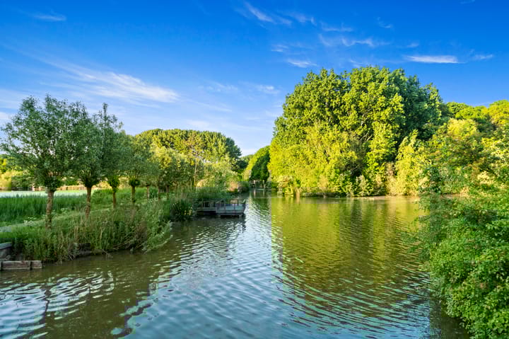 Foto 56 van Raaigrasstraat 30