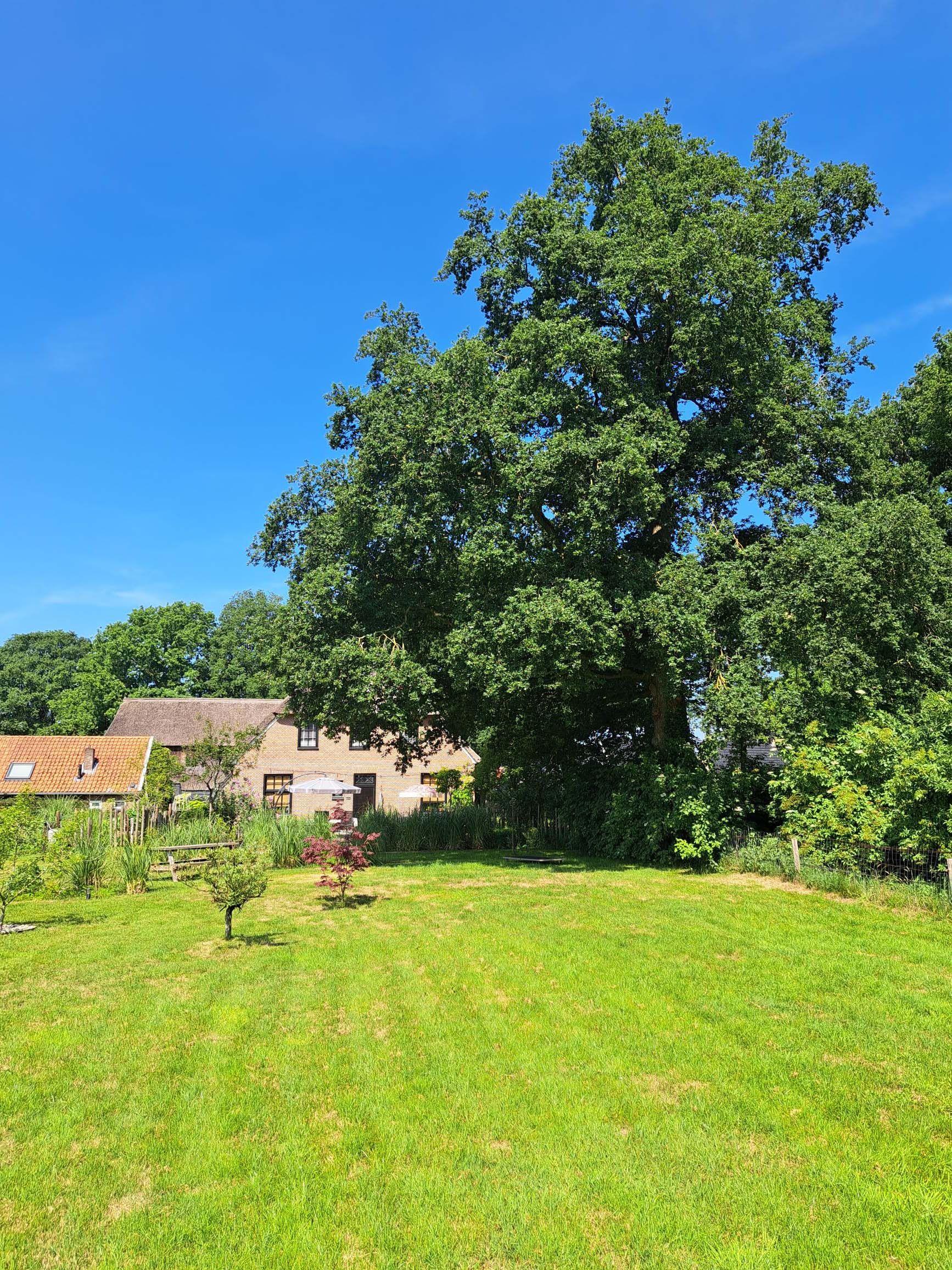 Foto 60 van Markeweg 1