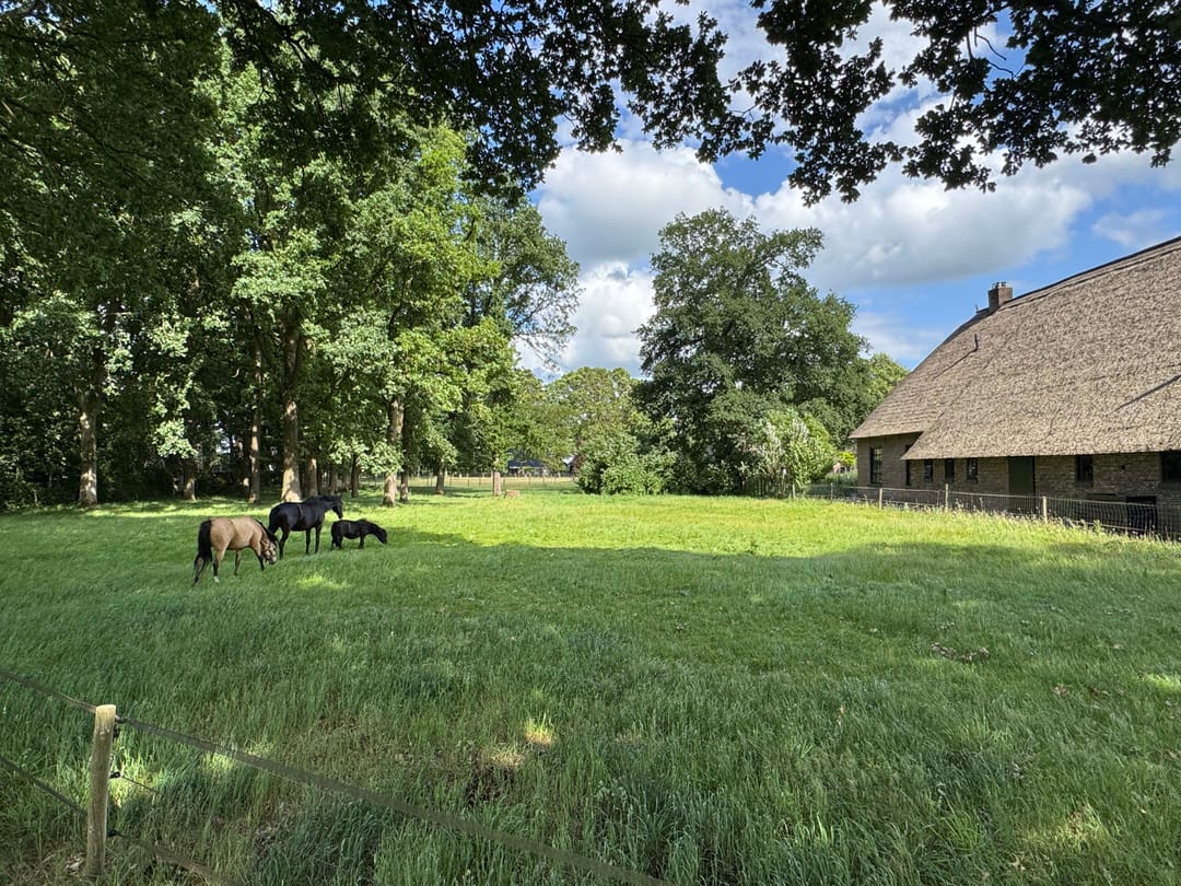 Foto 62 van Markeweg 1