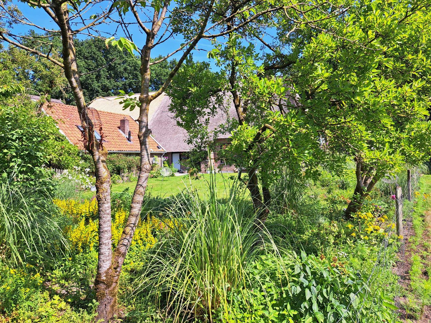 Foto 65 van Markeweg 1