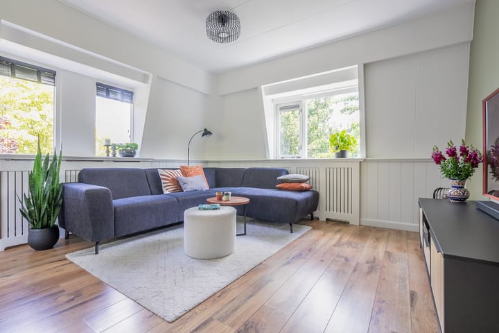 Foto 4 van Paddemoes 31