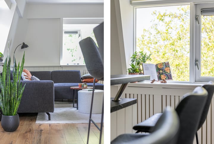 Foto 5 van Paddemoes 31