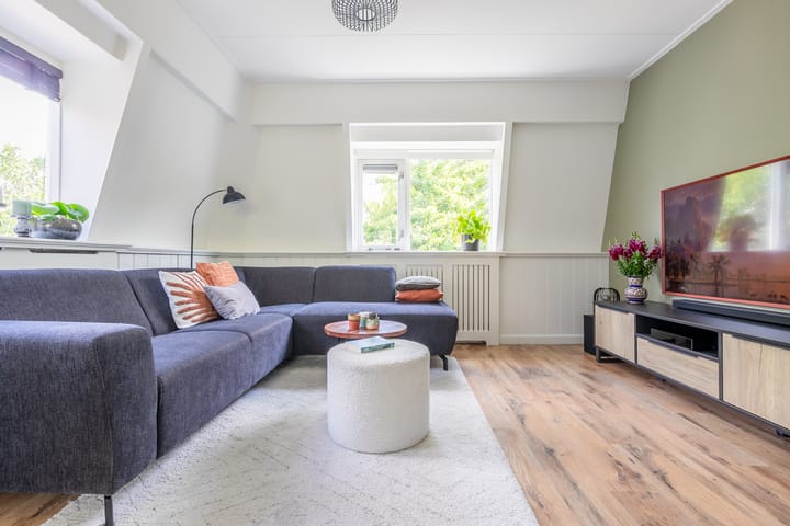 Foto 6 van Paddemoes 31