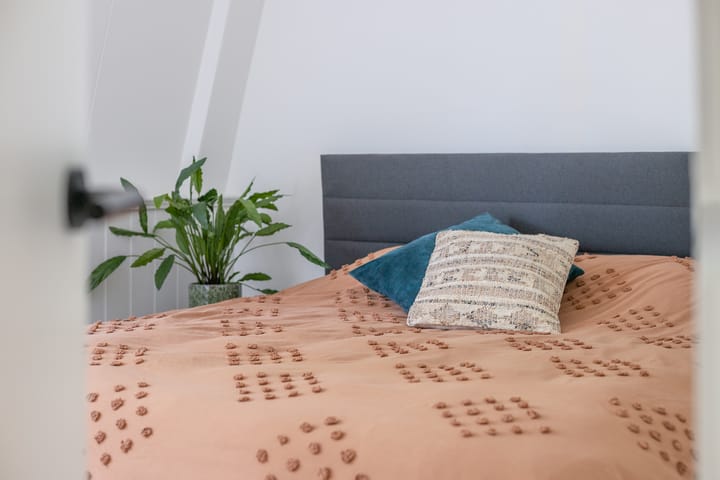 Foto 16 van Paddemoes 31