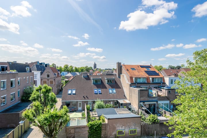 Foto 23 van Paddemoes 31