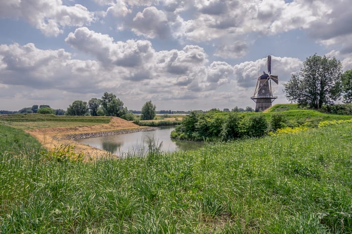 Foto 28 van Paddemoes 31