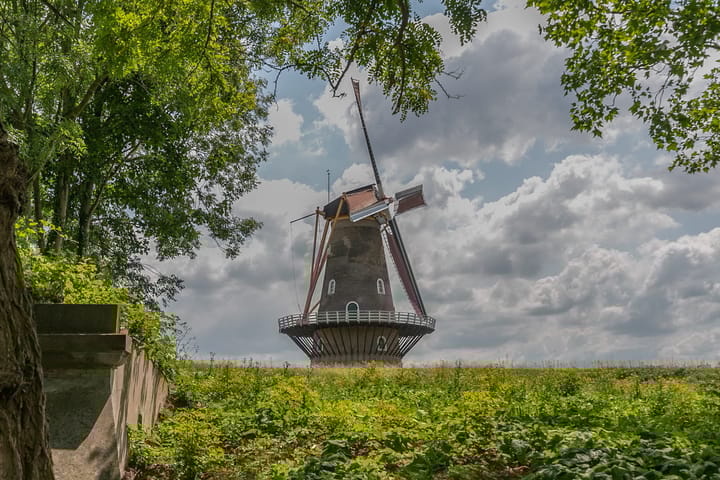 Foto 29 van Paddemoes 31