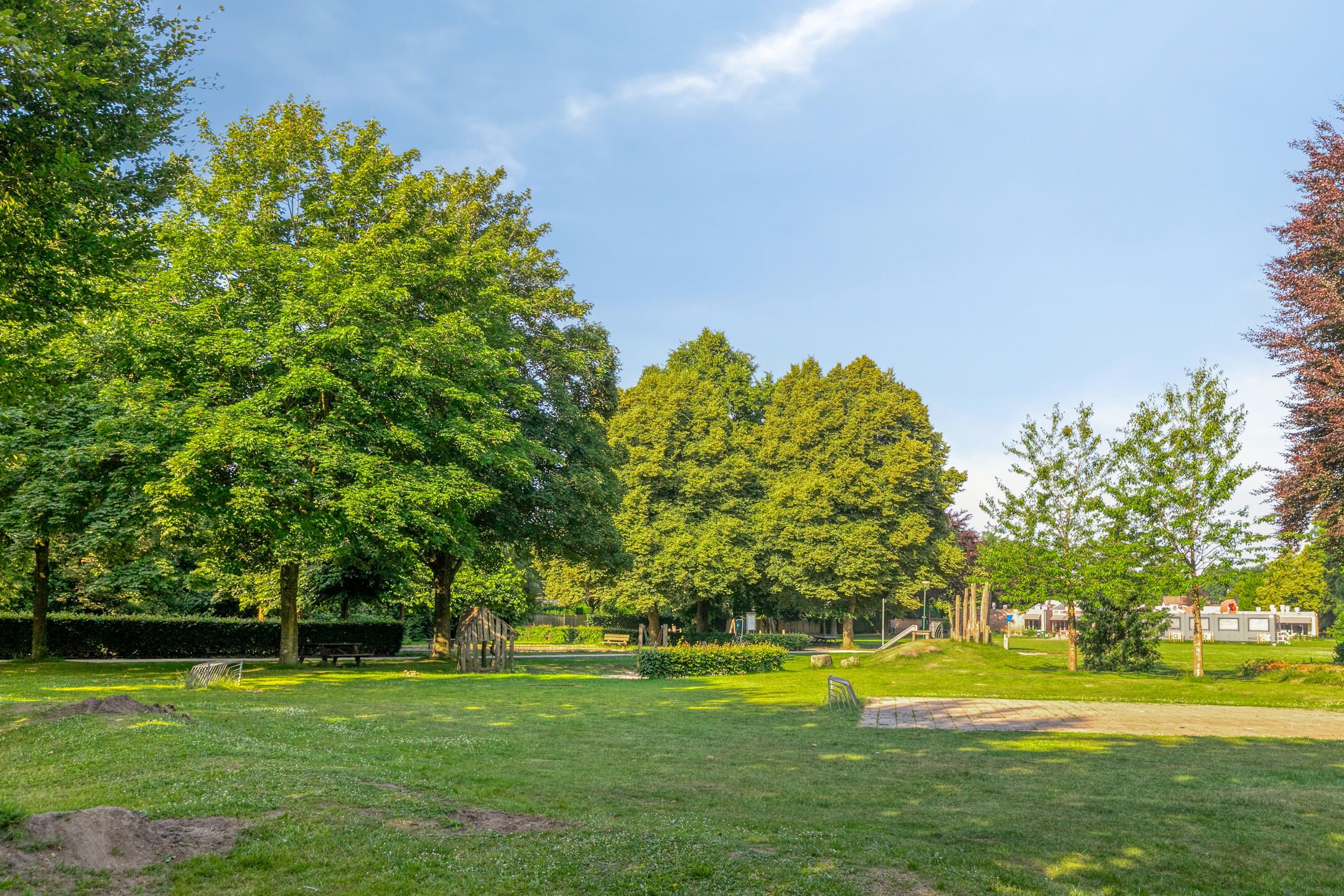 Photo 36 of Midakkers 19