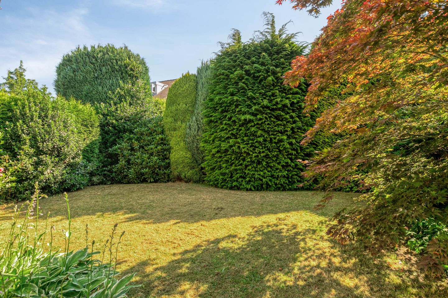 Photo 34 of Midakkers 19