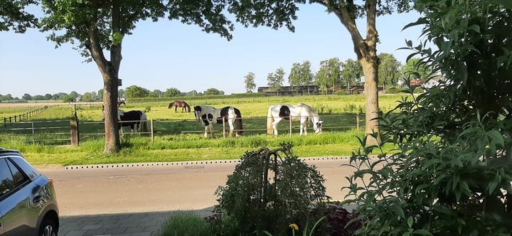 Foto 2 van Beijlkensweg 118