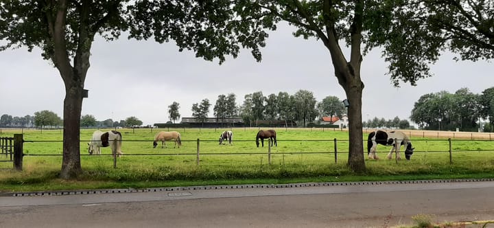 Foto 32 van Beijlkensweg 118