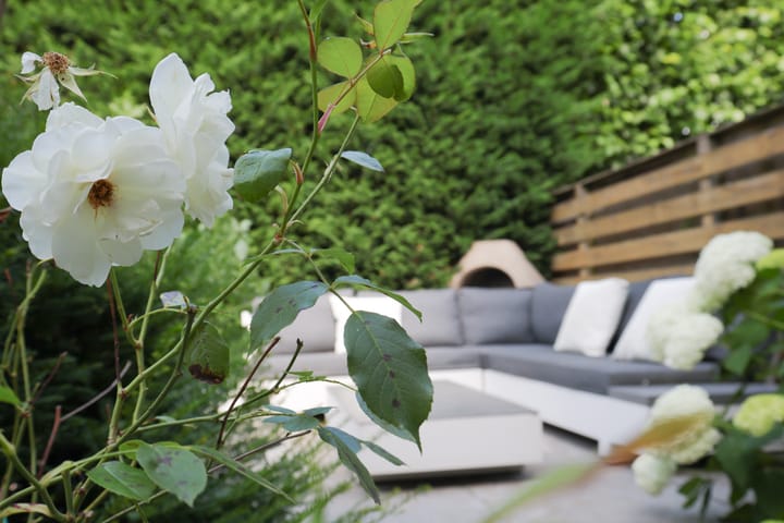 Foto 39 van Deken Hennissenstraat 18