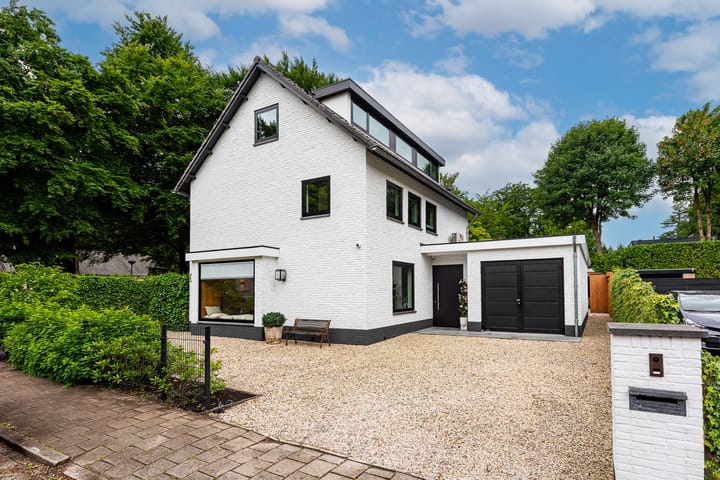 Foto 1 van Viottalaan 1