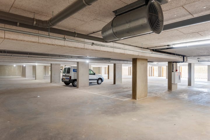 Foto 12 van Mahoniehout 390