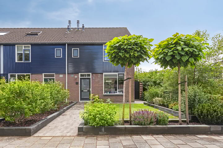 undefined main image