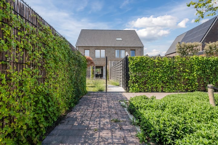 Foto 42 van Huiszwaluwstraat 6