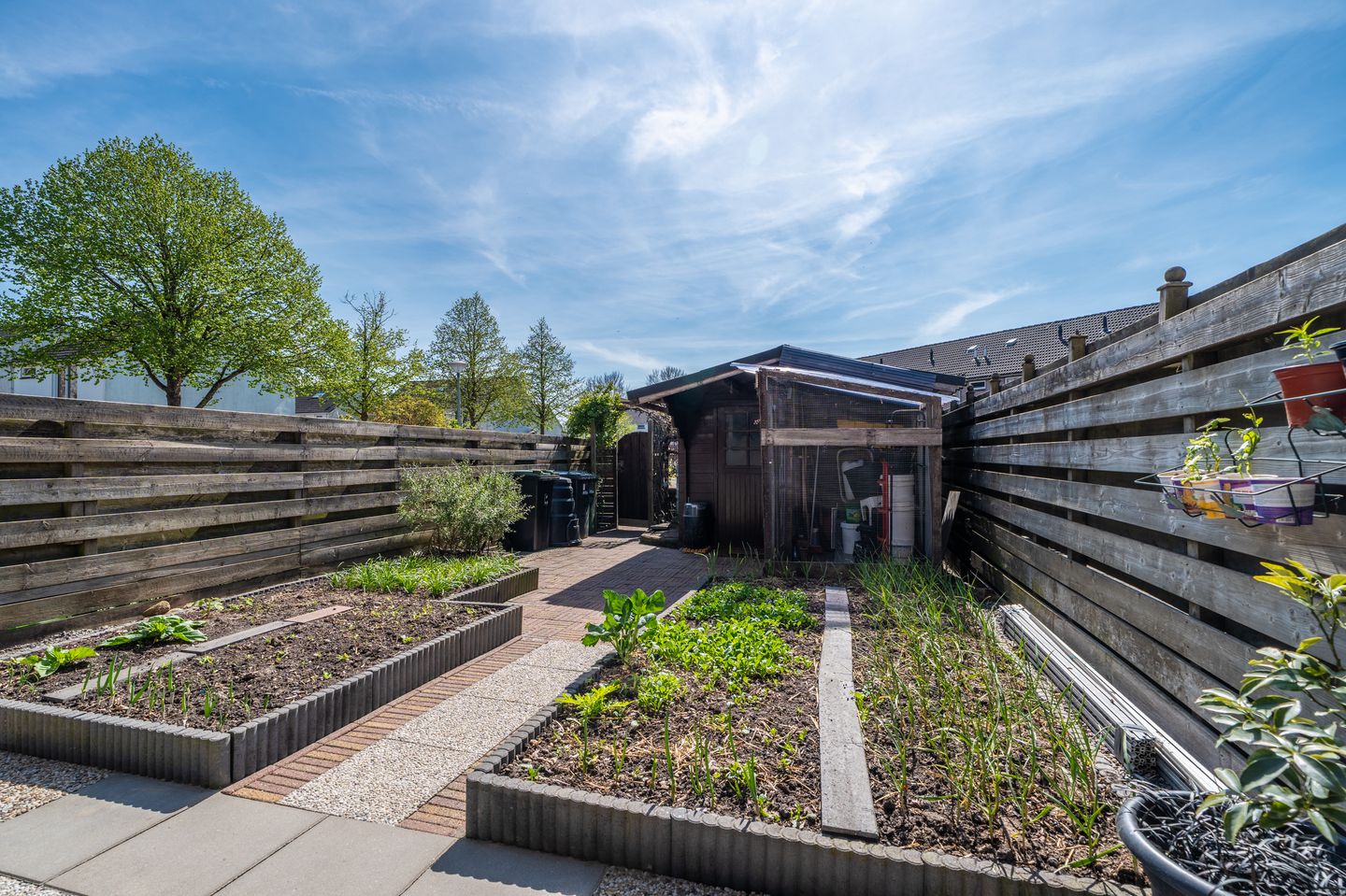 Foto 4 van Jupiter 3