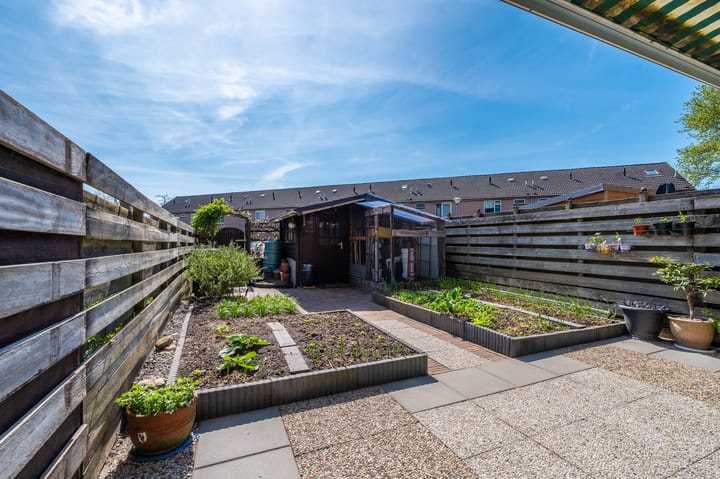 Foto 44 van Jupiter 3